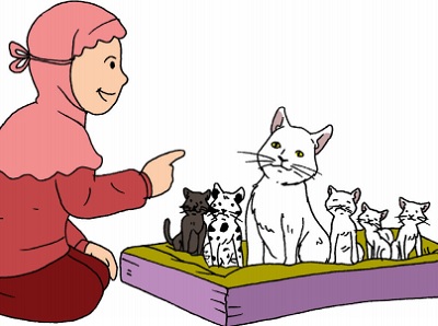 Ada Berapa Jenis Warna Anak Kucing Milik Siti