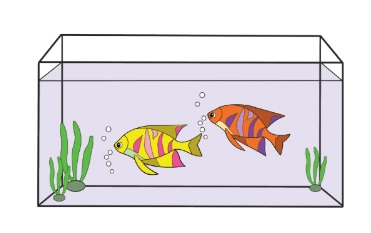 Tuliskan Ciri-Ciri Ikan Sebagai Makhluk Hidup